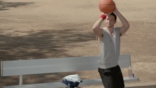 Mother Nature'S Strong On D GIF - Funny Pigeon Pigeon Basketball GIFs
