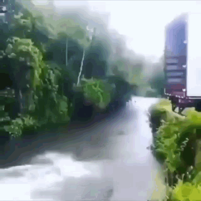 a truck is driving down a river surrounded by trees