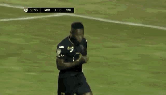 a soccer player with the number 17 on his shorts is celebrating a goal