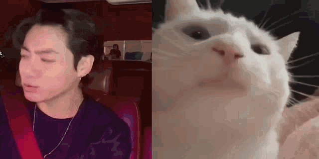 Jungkook Cat GIF - Jungkook Cat Vibing GIFs