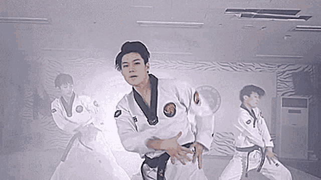 Ktigers Taekwondo GIF - Ktigers Taekwondo Blood Sweat Tears GIFs