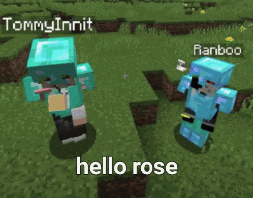 tommyinnit and ranboo are standing next to each other in a field in minecraft