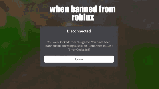 a screenshot of a game that says you were kicked from this game account ban ( 1042 ) when banned from roblox
