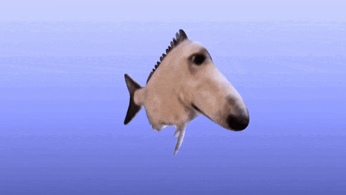 a fish with a horse 's head is swimming in the water