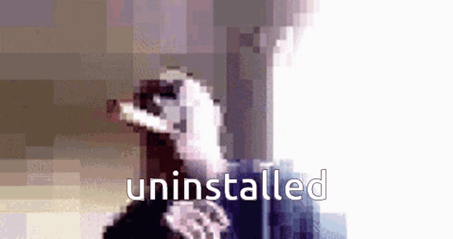a pixelated image of a ferret with the words uninstallled written below it