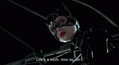 Life'S A Bitch, Now So Am I GIF - Cat Woman Life Is A Bitch Now So Am I GIFs