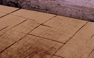 a cartoon character is standing on a wooden floor with a basketball .