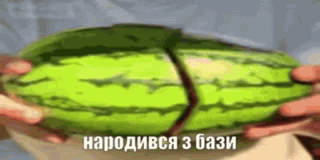 a person is holding a watermelon in their hands with a foreign language written on it .