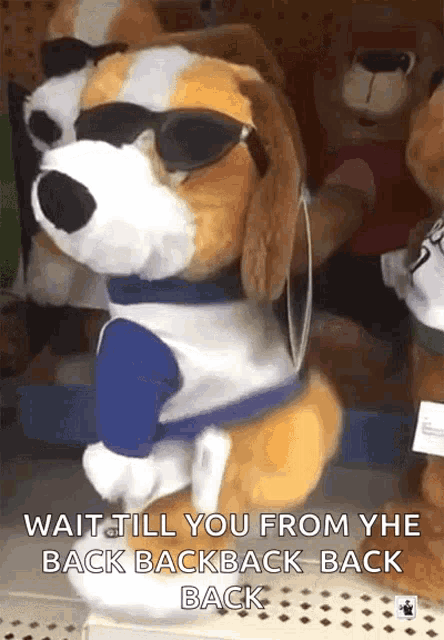a stuffed dog wearing sunglasses and a blue shirt says wait till you from the back backpack back back .