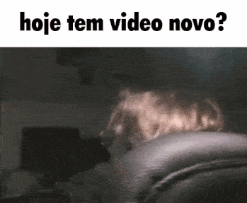 a picture of a dog with the words " hoje tem video novo " above it
