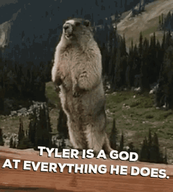 Tyler Is A God GIF - Tyler Is A God GIFs