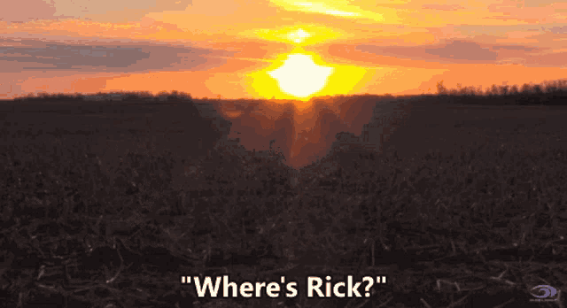 Blind Wave Lost GIF - Blind Wave Lost Rick GIFs