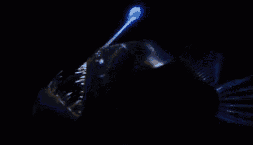 a fish is swimming in the dark with a blue light on its head .