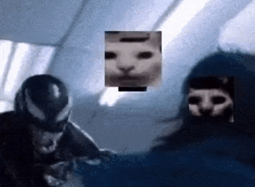 a man and a cat are standing next to each other in a room . the cat is wearing a mask .