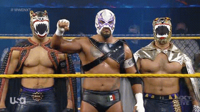 three wrestlers wearing masks are standing in a ring with the word usa on the bottom