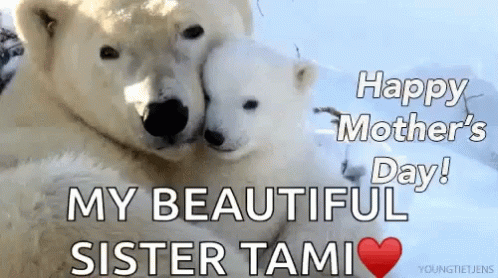 Mothers Day Polar Bears GIF - Mothers Day Polar Bears Mother And Daughter GIFs