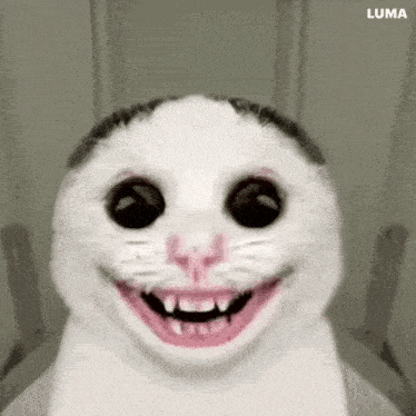 a white cat with black eyes and a pink nose is smiling with its mouth open .