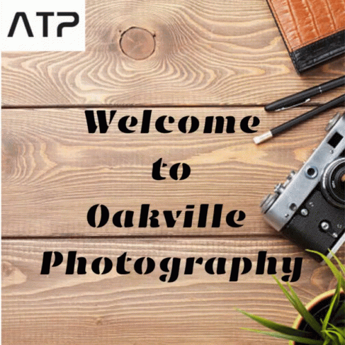 Photography In Oakville Photographer Toronto GIF - Photography In Oakville Photographer Toronto Toronto Product Photographer GIFs