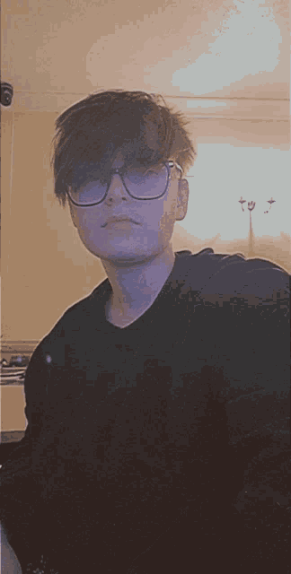 a young man wearing glasses and a black shirt looks at the camera