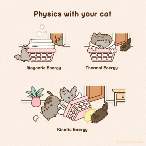 Energy Cat GIF - Energy Cat Funny GIFs