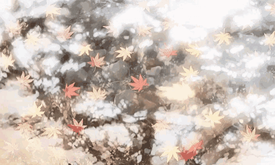 a bunch of leaves are falling from a tree on a white background
