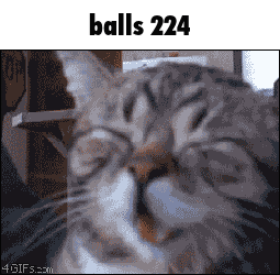 a close up of a cat 's face with the words balls 224 above it