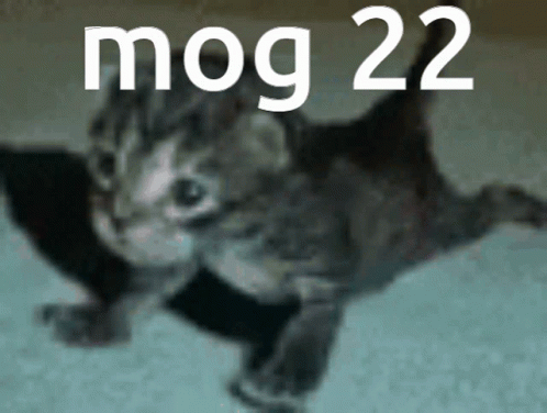 Mog Mog22 GIF - Mog Mog22 Roger GIFs