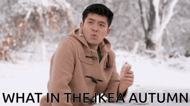 a picture of a man in the snow with the words what in the ikea autumn on the bottom