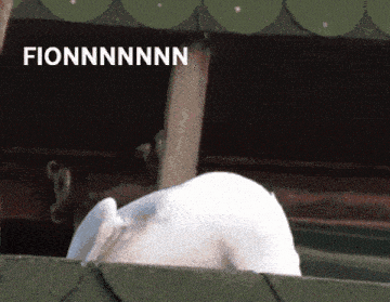 the word fionnnnnn is on a picture of a rabbit