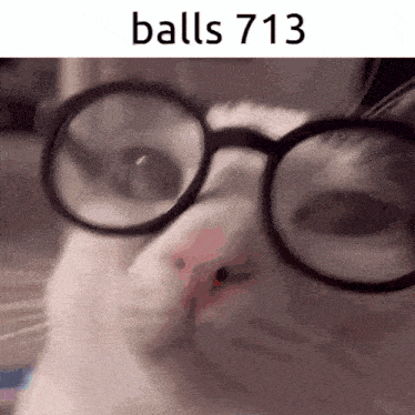 a close up of a cat wearing glasses with the text balls 713 below it