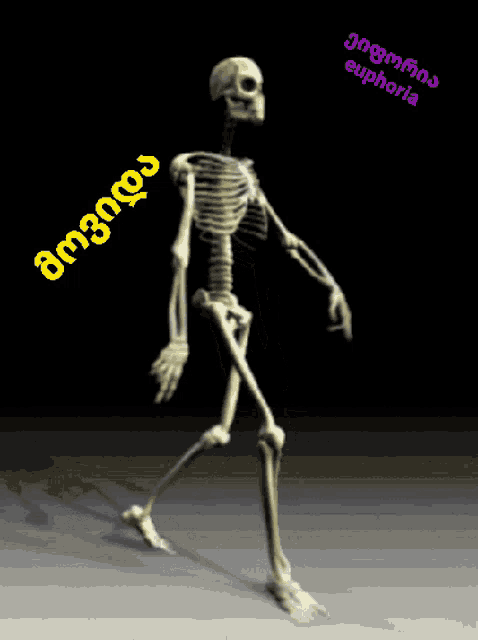 a skeleton is walking with euphoria written on the bottom