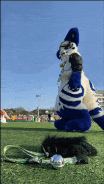 a blue and white furry animal is kneeling on a grassy field