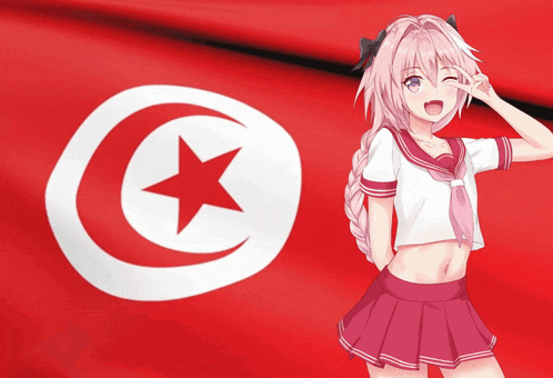 a girl in a pink skirt stands in front of a flag with a crescent moon and star