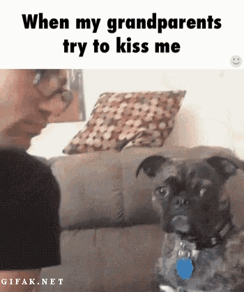 a dog is sitting on a couch looking at a man who is standing next to it .