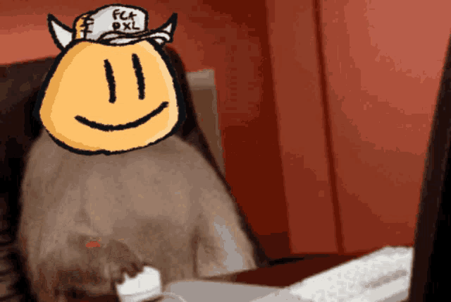 a cat wearing a hat that says fct pxl on it