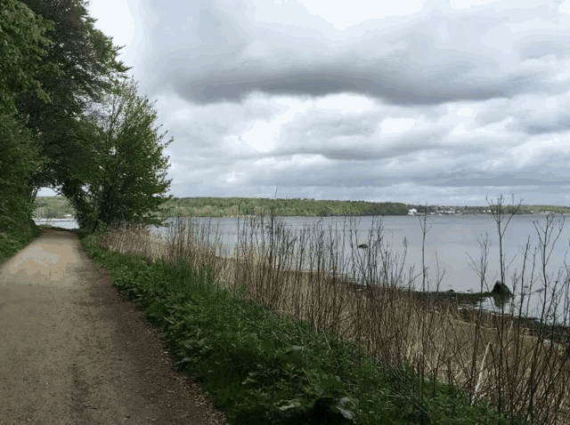 a dirt road leads to a body of water surrounded by trees
