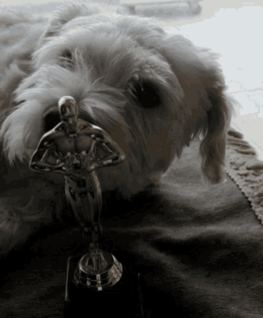 Aris Dog GIF - Aris Dog Statue GIFs