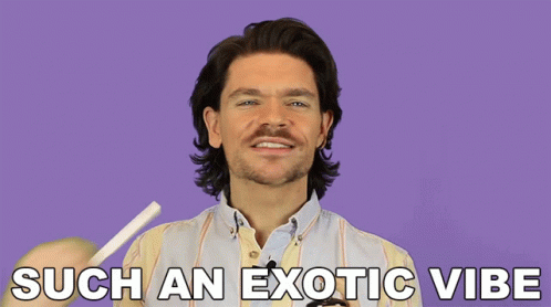 Such An Exotic Vibe Robin James GIF - Such An Exotic Vibe Robin James Unique GIFs
