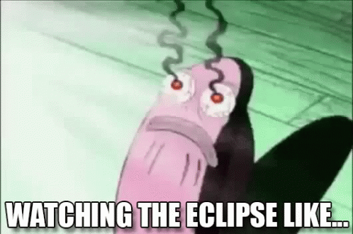 Watching The Eclipse Like GIF