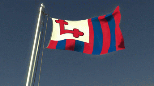 Lsidechat Flag GIF - Lsidechat Flag Wilbursoot GIFs