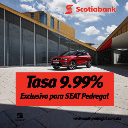 Exclusive Tasa GIF - Exclusive Tasa Scotia Bank GIFs