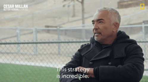This Strategy Is Incredible Cesar Millan Better Human Better Dog GIF - This Strategy Is Incredible Cesar Millan Better Human Better Dog This Strategy Is Amazing GIFs