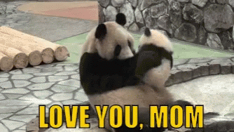 Mothers Day Love You Mom GIF - Mothers Day Love You Mom Panda GIFs