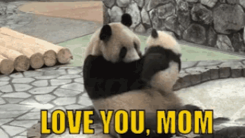 a couple of panda bears hugging each other with the words `` love you mom '' written on the bottom .