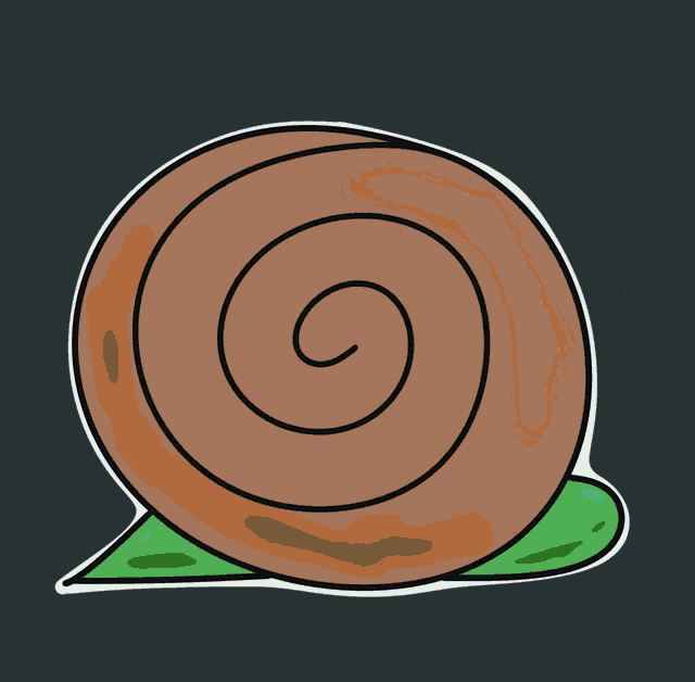 a drawing of a colorful circle on a dark background