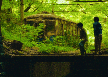 a boy stands on a bridge in front of a train in the woods