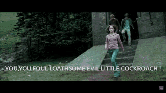 Harry Potter Hermione Punch GIF - Harry Potter Hermione Punch You Foal Loathsome Evil Little Cockroach GIFs
