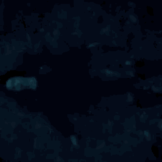 a close up of a woman 's face in the dark with a blue light shining on it .