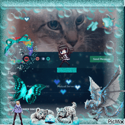 a picture of a cat and a girl with the name tiger