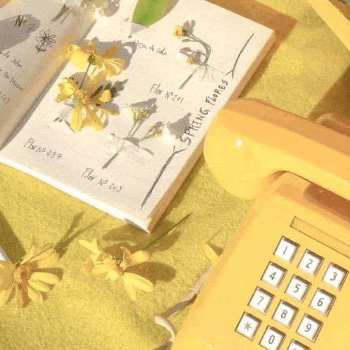a yellow telephone sits next to a notebook that says spring flowers on it